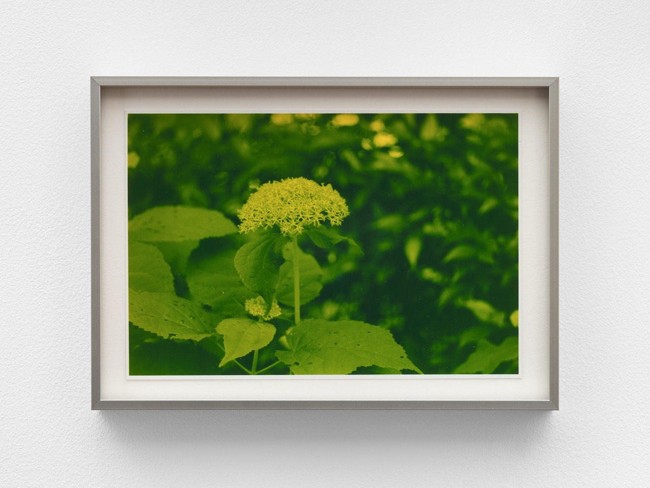 Current Exhibition Image 1